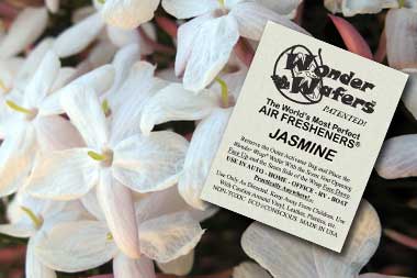Jasmine